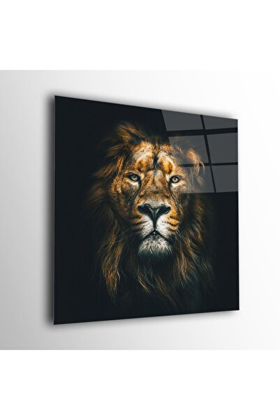 Aslan Desen Cam Tablo