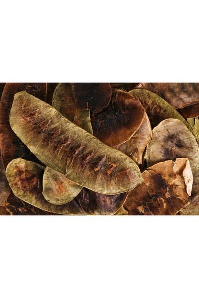 Krk Gıda 100gr Hunger Herb