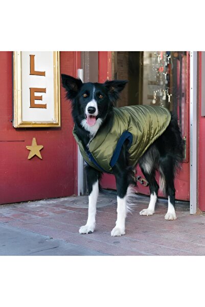 Barkie İzmir Gap Köpek Ceket