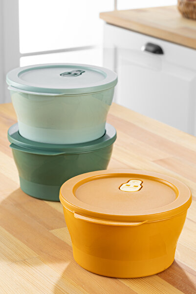 Vienev Set of 3 2-Liter Microwavable Storage Containers - Colorful