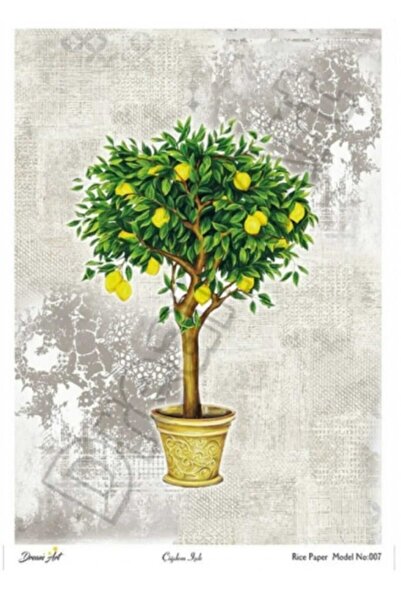 DERYA DESİNG ART Brass Decopage Paper No:Drm07