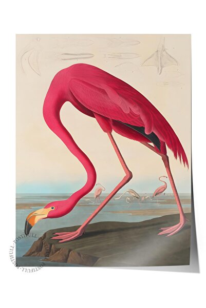 Postifull Çerçevesiz Poster Tablo, Duvar Posteri, Sanatsal Hd Baskı, Zarafeti...