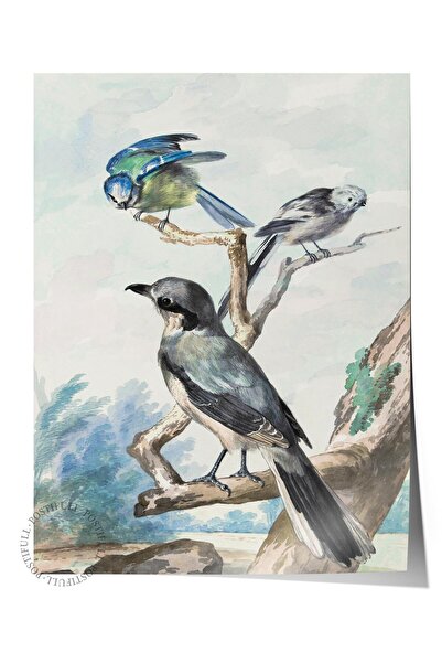 Postifull Pictură cu poster fără cadru, poster de perete, imprimare artistică...