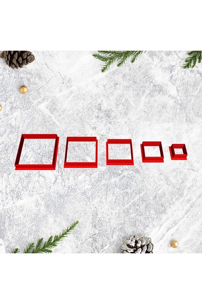 lizzinsa Square Cookie Mold