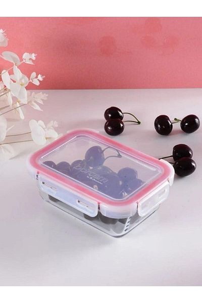 Viyalente Pyrex Storage Container Oven Container 780 Cc