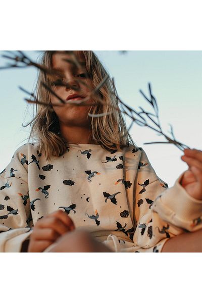 Antebies Dragon Patterned Sweatshirt