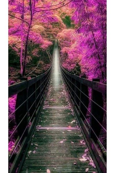 MARCEL SANAT Wooden Bridge in Pink Tree Forest Diamond Mosaic Painting 30x55cm