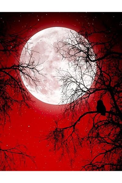 MARCEL SANAT Red Full Moon Pixart Art Diamond Mosaic Painting Diamond Türkiye 43*55