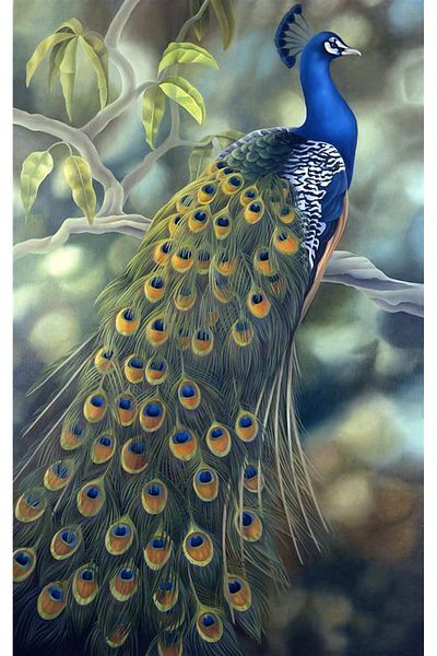 MARCEL SANAT Beautiful Blue Peacock Diamond Mosaic Painting 40x65cm