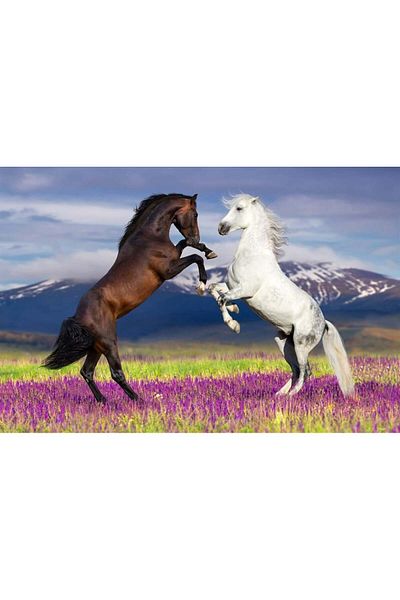 MARCEL SANAT Horses in the Valley Diamond Mosaic Painting 76x50 Cm