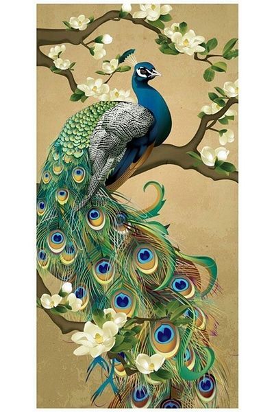 MARCEL SANAT Peacock Diamond Mosaic Painting 36x71cm