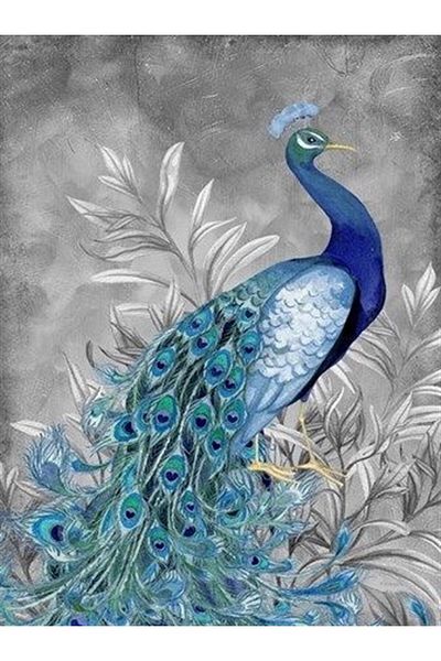 MARCEL SANAT Peacock Diamond Mosaic Painting 38x51cm