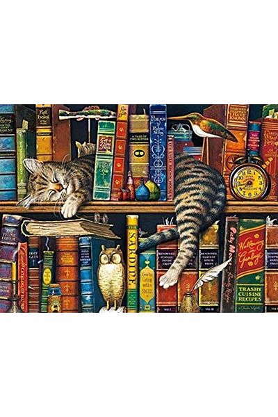 MARCEL SANAT Cat Sleeping Between Books Diamond Mosaic Painting 71x53cm