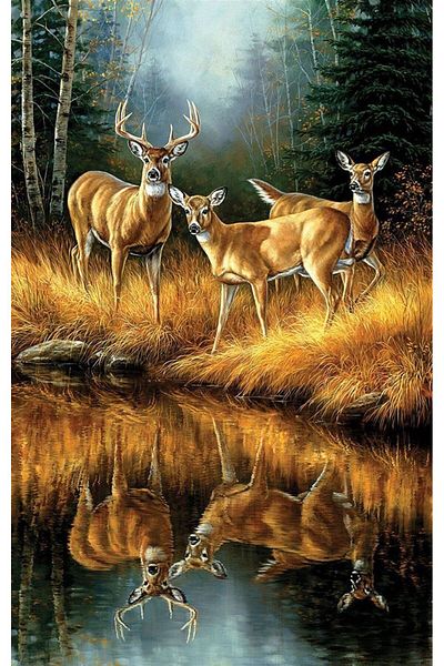 MARCEL SANAT Deers on the Lake Diamond Mosaic Painting 35x50cm