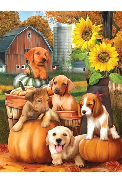 MARCEL SANAT Diamond Mosaic Painting with Dogs Pumpkins 35x45cm