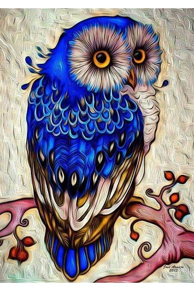 MARCEL SANAT Blue Owl Diamond Mosaic Painting 36x51cm