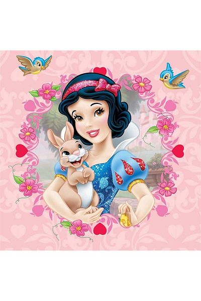 Marcel Kristal Tablo Snow White And Her Rabbit Marcel Art Diamond Mosaic Painting 71x71cm