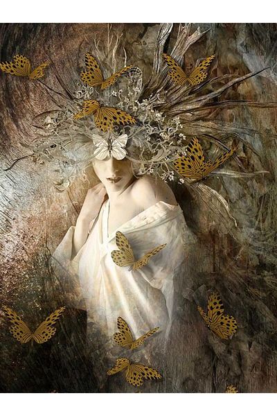 MARCEL SANAT Diamond Mosaic Painting With Butterflies 40x55cm
