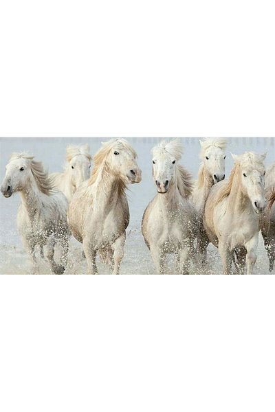 Marcel Kristal Tablo White Horses Marcel Art Diamond Mosaic Painting 89x46cm
