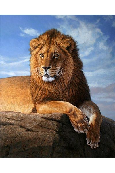 MARCEL SANAT Lion Diamond Mosaic Painting 41x51 cm