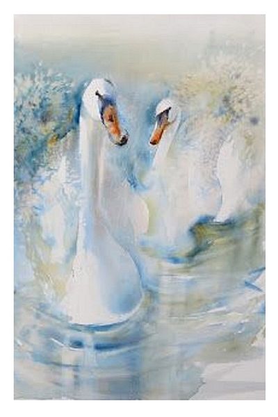 dialands Swans - Stylish and Comfortable Design