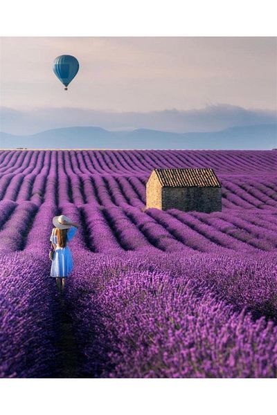 MARCEL SANAT Lavender Field Diamond Mosaic Painting 45x55cm