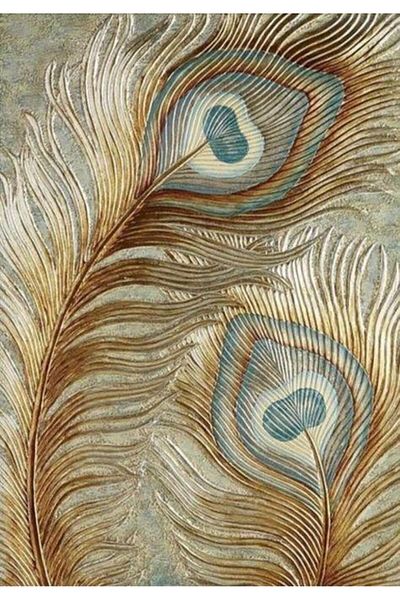 dialands BIRD FEATHER 48X69CM-DM129