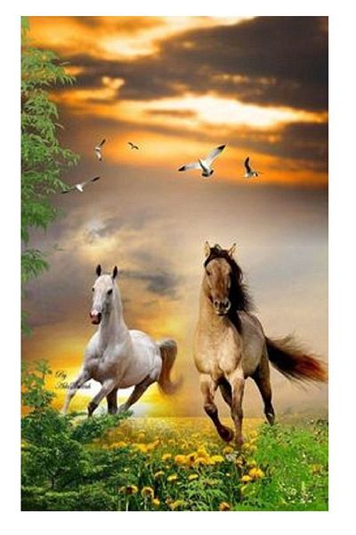 dialands Fashionable and Comfortable Horses Set
