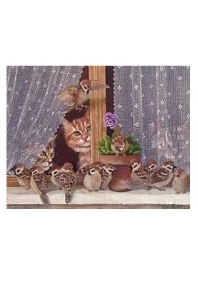 dialands Cat - Stylish and Purpose Cat