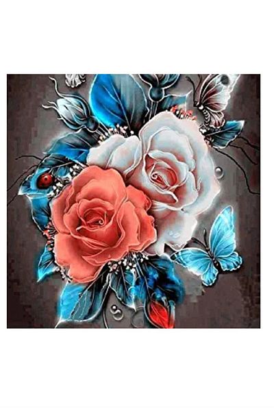 dialands Roses