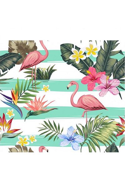 dialands Tropical