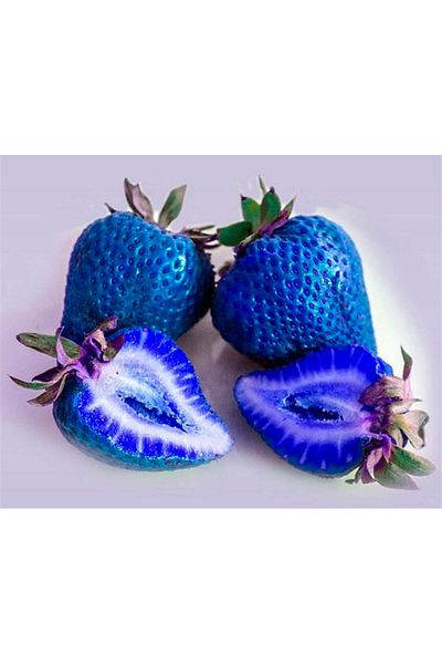 MARCEL SANAT Blue Strawberries Marcel Art Diamond Mosaic Painting 28x23cm
