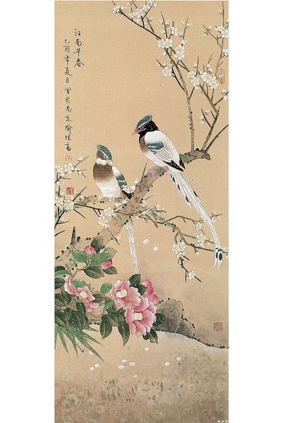 dialands Birds - Comfortable and Stylish Design