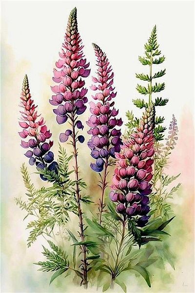 dialands LUPIN FLOWER-32x50cm-DM0044