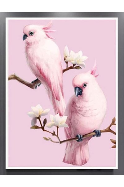 MARCEL SANAT Cockatoo Parrots Diamond Mosaic Painting 30x30 Cm