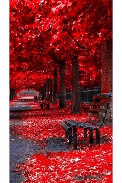 MARCEL SANAT Red Tree Forest Path Diamond Mosaic Painting 30x55cm