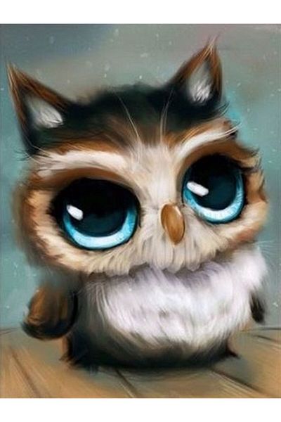 MARCEL SANAT Baby Owl Diamond Mosaic Painting 38x51cm