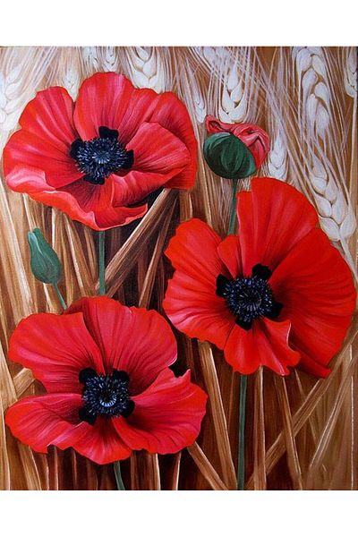 MARCEL SANAT Poppy And Wheat Bottom Diamond Mosaic Painting 43x53cm