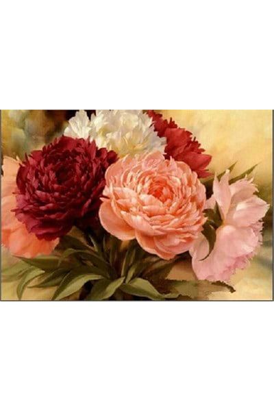 MARCEL SANAT Peonies Diamond Mosaic Painting 28x40cm