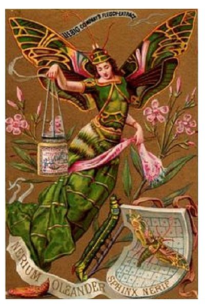 dialands Vintage Design Please Store Original Title