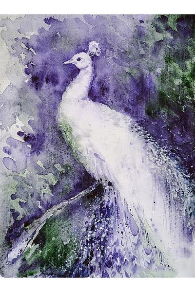 MARCEL SANAT Peacock Paint Work Diamond Mosaic Painting 50x68