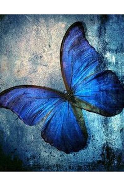 MARCEL SANAT Blue Butterfly Marcel Art Diamond Mosaic Painting 38x48cm