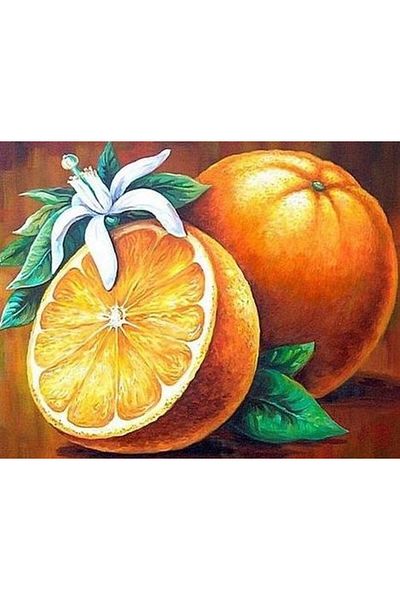 Marcel Kristal Tablo Πορτοκαλί Marcel Art Diamond Μωσαϊκό Πίνακας 53x43cm