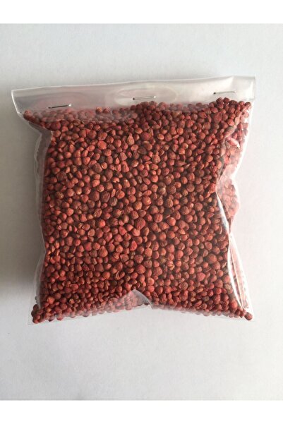 The Best Online Balıkesir Tohumculuk Matador Ispanak Tohumu, 100 Gr.