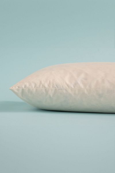 OTHELLO Cotton Fabric Teddy 205tc - 5 Tickled Goose Feather Pillow 50x70 Cm