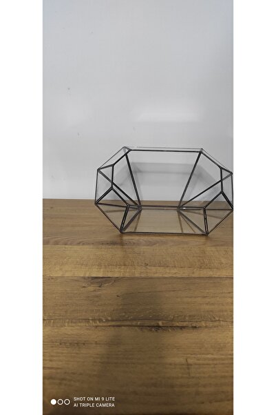 tasarımhane Cam geometrik terrarium takı aksesuar çikolata kutusu nişan