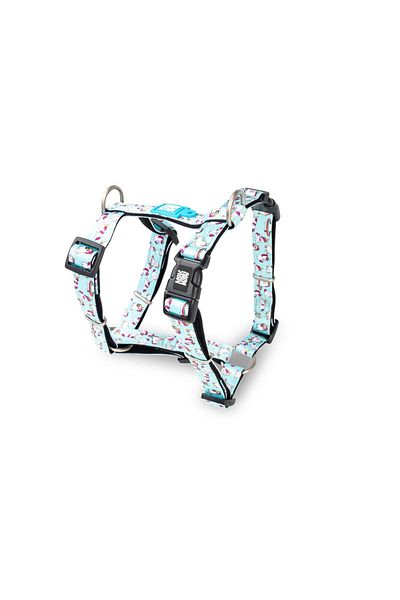 Max & Molly Unicorn Patterned Dog Collar