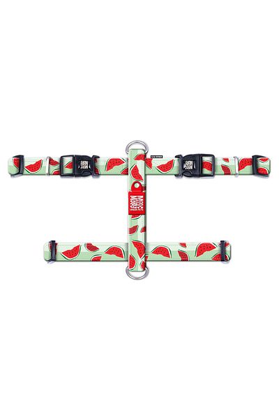 Max & Molly Watermelon Dog Harness