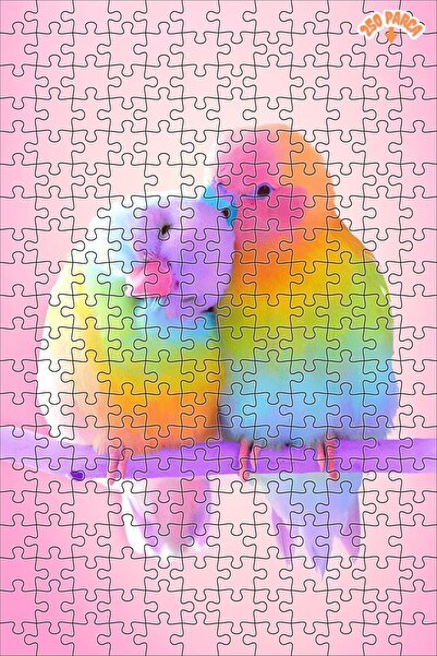 Teona Ahşap Renkli Papağanlar Dekoratif Çift Katlı Çerçeveli Asılabilir Ahşap...