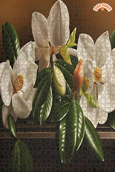 Teona Ahşap Manolya Çiçeği Dekoratif Çift Katlı Çerçeveli Asılabilir Ahşap Pu...